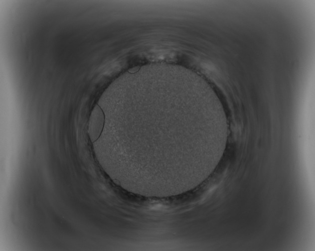 X0000086110913200703301233