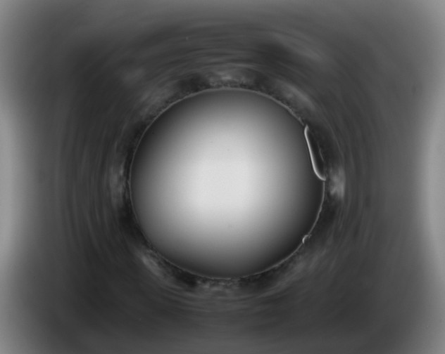 X0000086110915200703301233