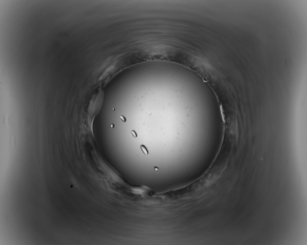 X0000086110916200703301233