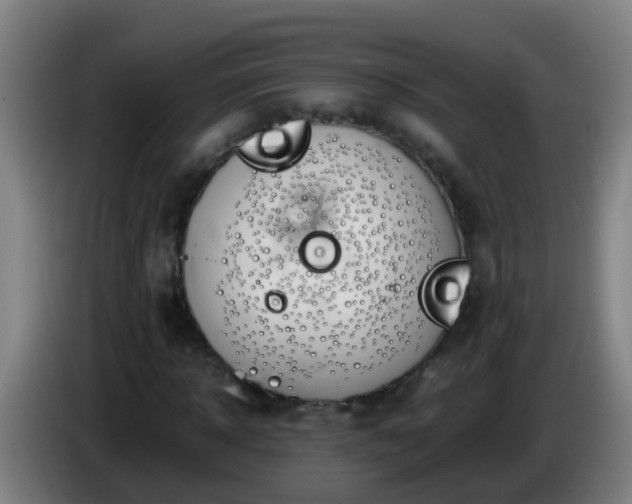 X0000086110918200703301233