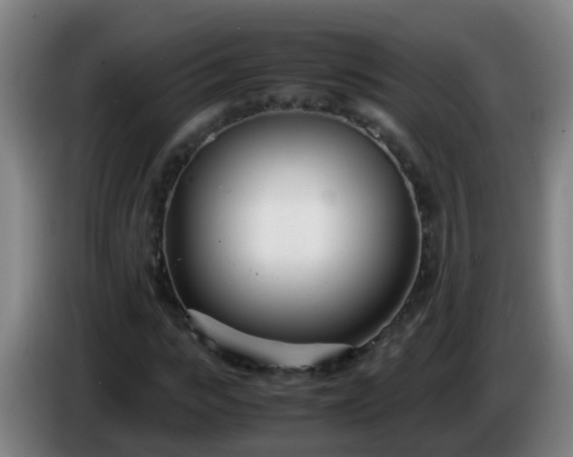 X0000086110919200703301233