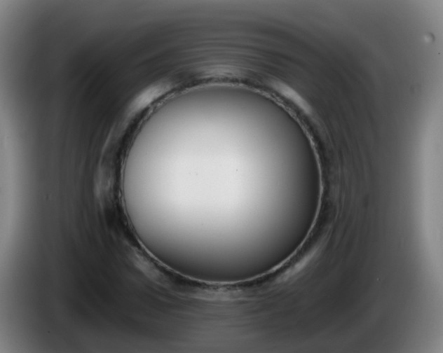 X0000086110922200703301233