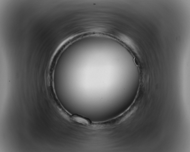 X0000086110924200703301233