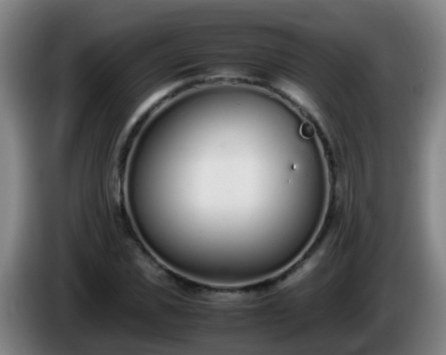 X0000086110925200703301233