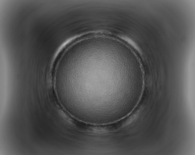 X0000086110927200703301233