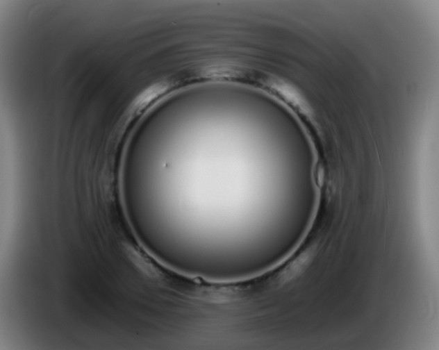 X0000086110930200703301233