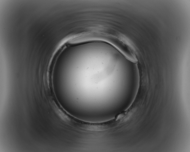 X0000086110932200703301233