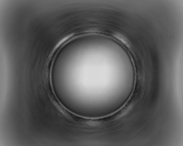 X0000086110933200703301233