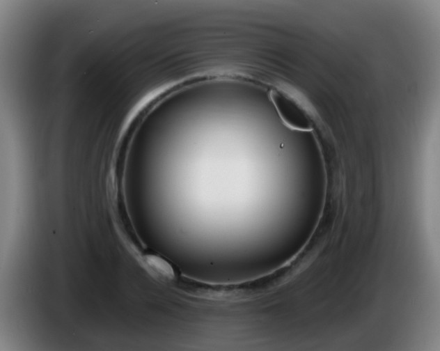 X0000086110936200703301234