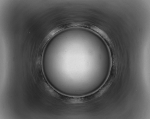 X0000086110937200703301234