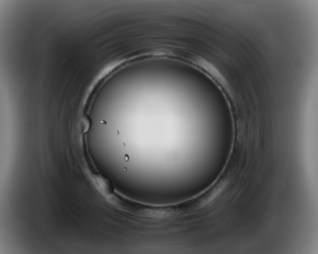 X0000086110939200703301234