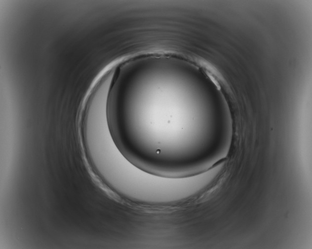 X0000086110942200703301234