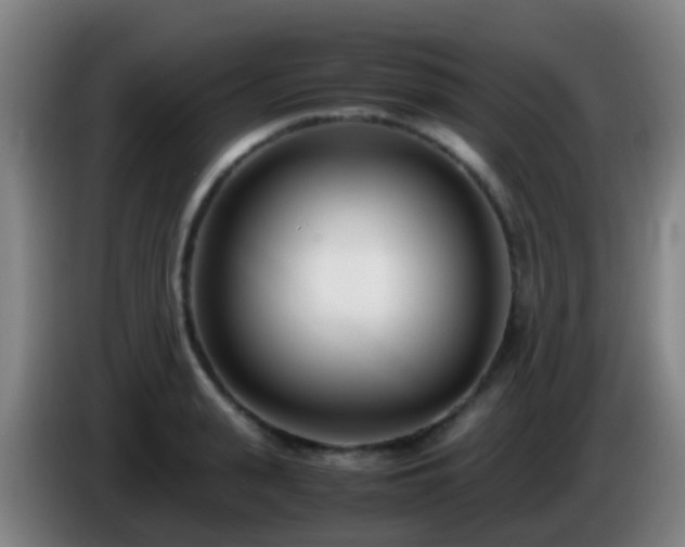 X0000086110943200703301234