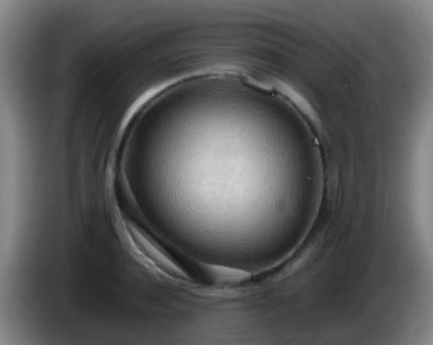 X0000086110944200703301234