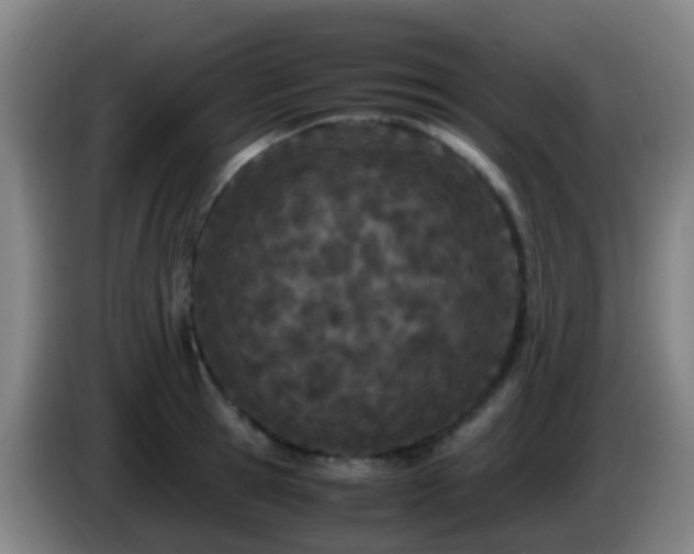 X0000086110945200703301234