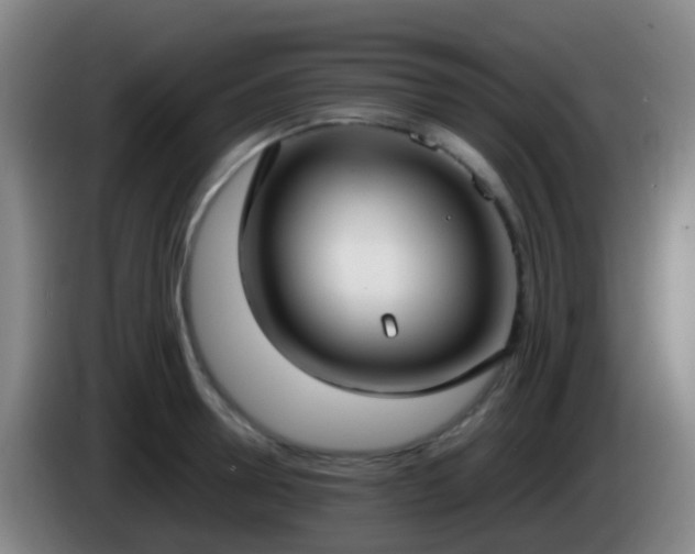 X0000086110946200703301234