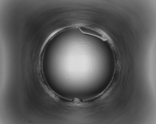 X0000086110948200703301234