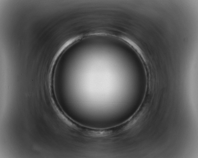 X0000086110949200703301234