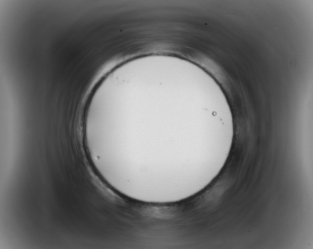 X0000086110950200703301234