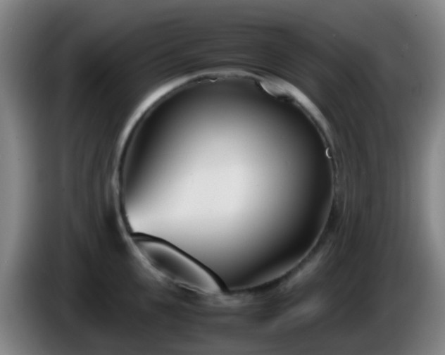 X0000086110951200703301234