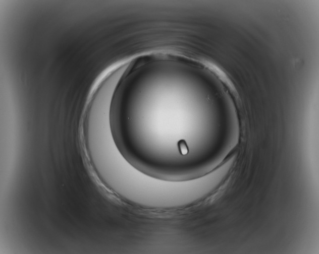 X0000086110952200703301234