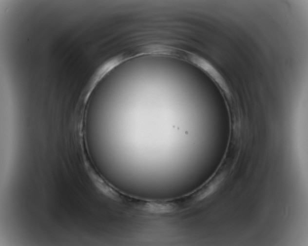 X0000086110954200703301234