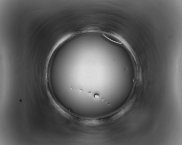 X0000086110957200703301234