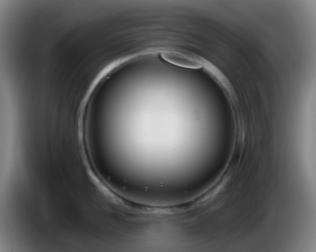 X0000086110958200703301234