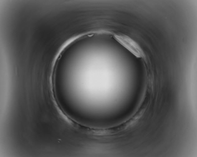 X0000086110959200703301234