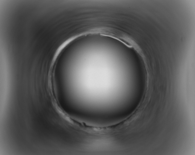 X0000086110960200703301234