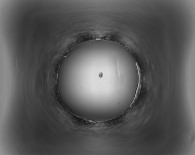 X0000086110961200703301233