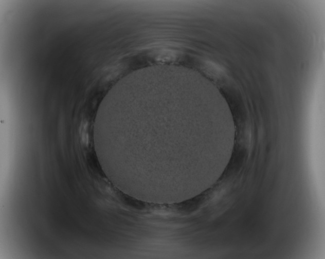 X0000086110962200703301233