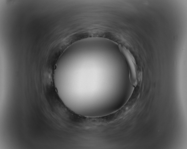 X0000086110963200703301233