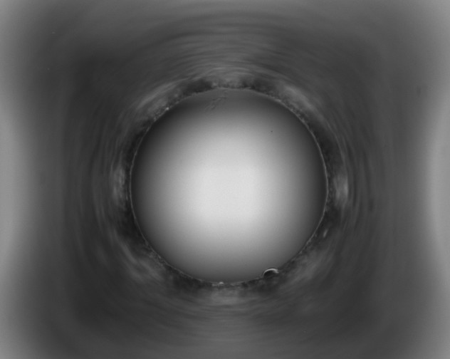 X0000086110964200703301233