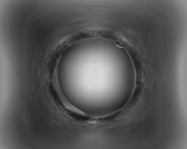 X0000086110965200703301233