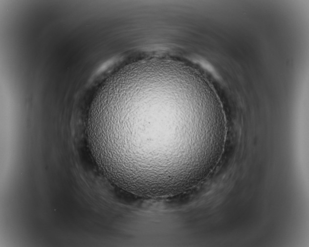 X0000086110967200703301233