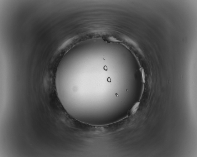 X0000086110968200703301233