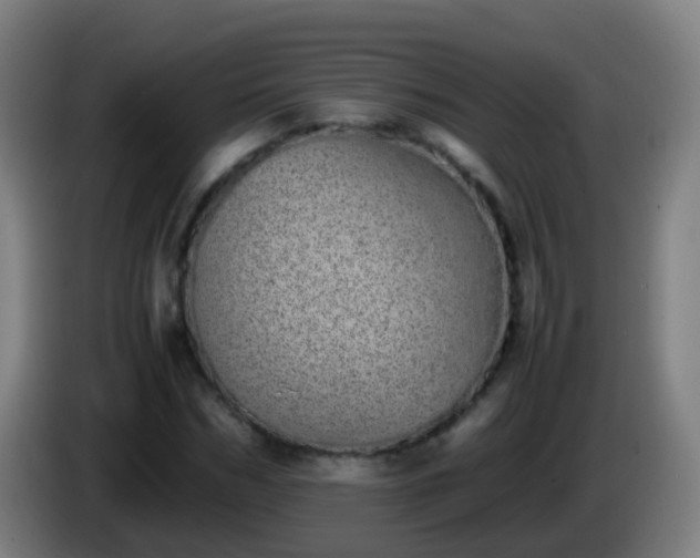 X0000086110970200703301233