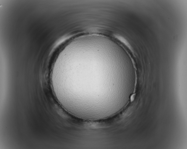 X0000086110971200703301233