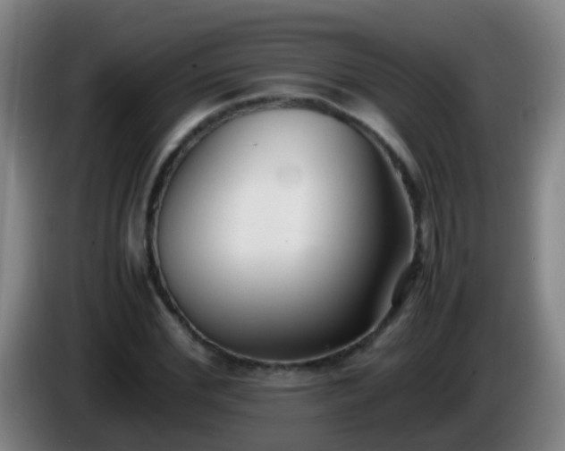 X0000086110972200703301233