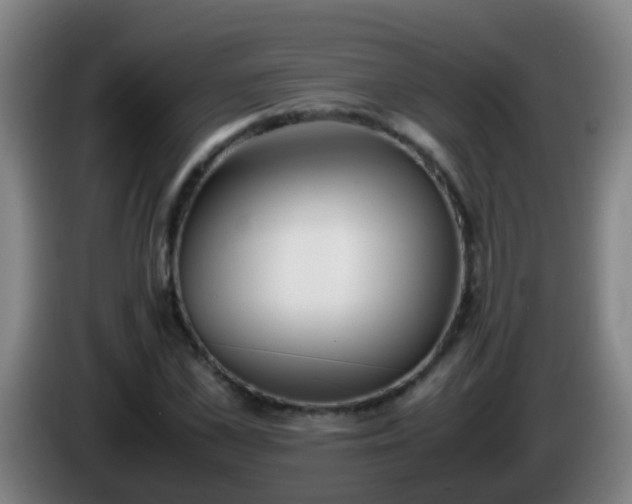 X0000086110973200703301233