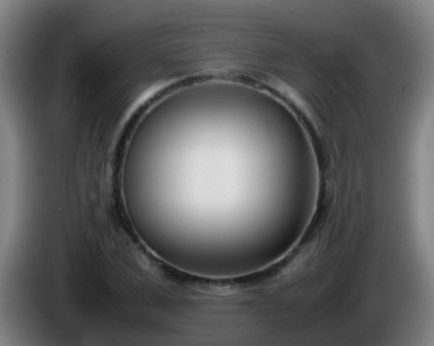 X0000086110975200703301233