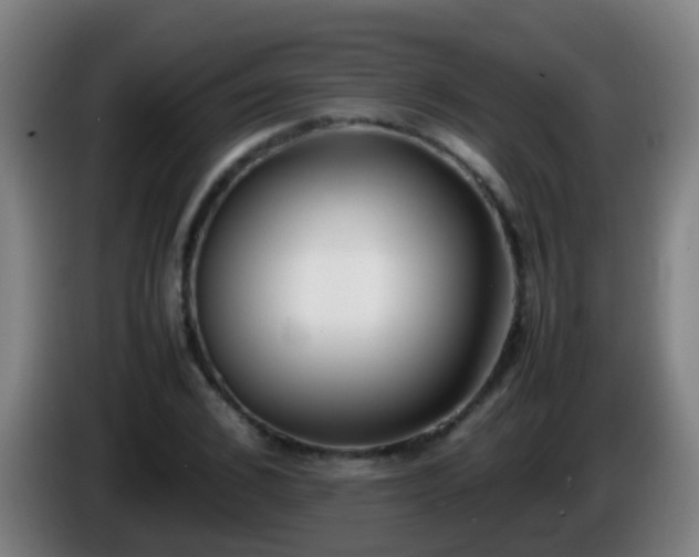 X0000086110976200703301233