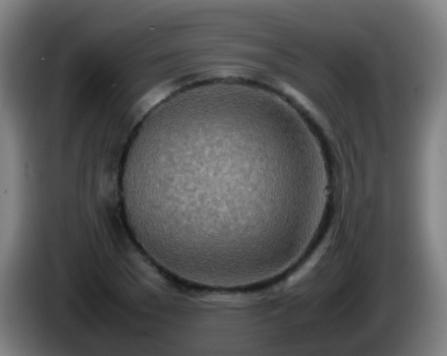 X0000086110977200703301233