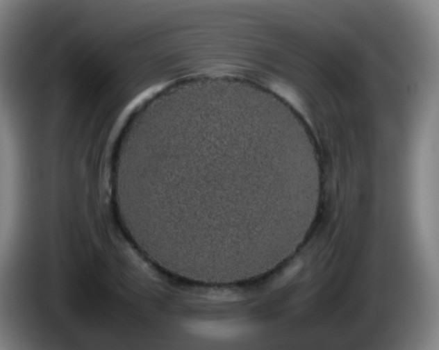 X0000086110979200703301233