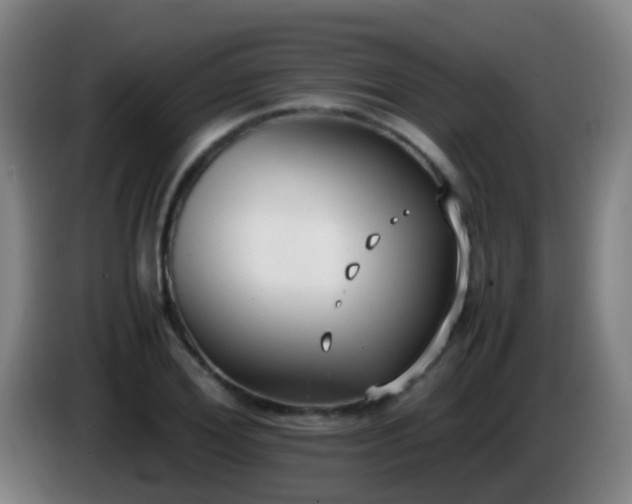 X0000086110980200703301233