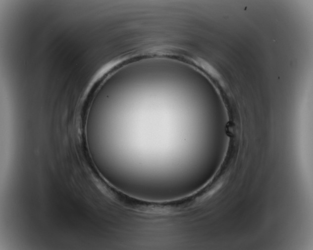 X0000086110981200703301233