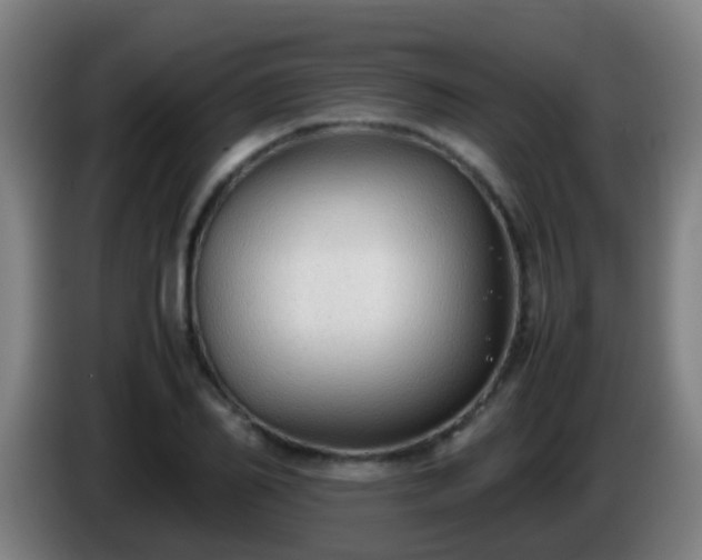 X0000086110982200703301233