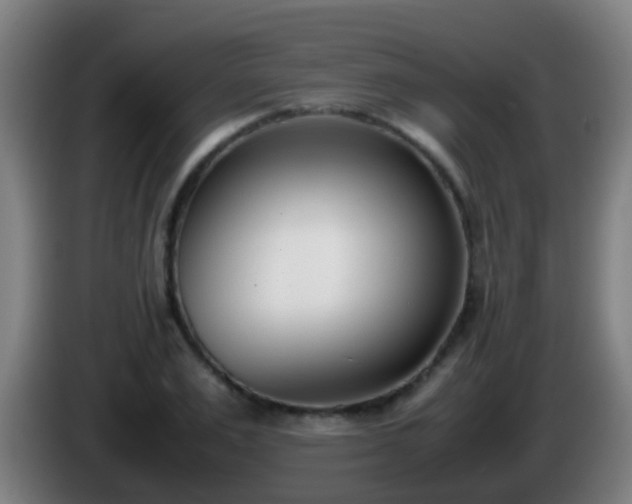 X0000086110983200703301233