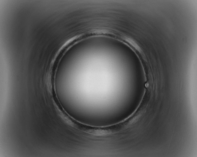 X0000086110984200703301233